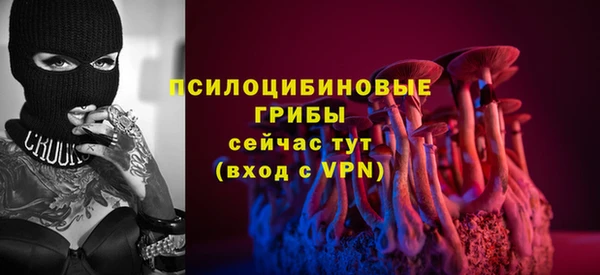 спиды Аркадак