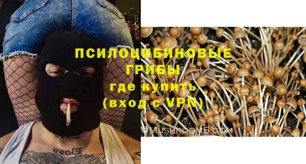 дмт Алексин