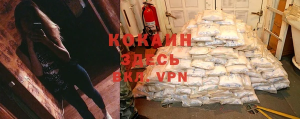 apvp Арсеньев