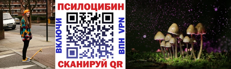 Псилоцибиновые грибы Magic Shrooms  купить   Майкоп 