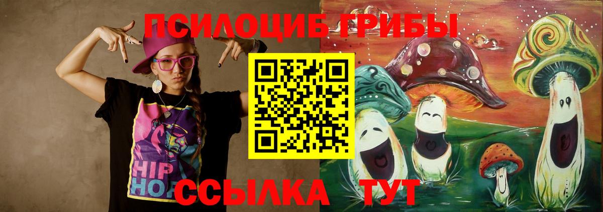 Майкоп  Галлюциногенные грибы Psilocybe  Вход с VPN 