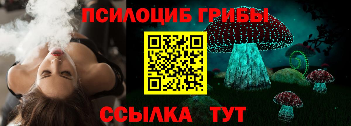 ГАШИШ Майкоп