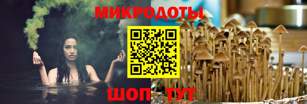 Псилоцибиновые грибы прущие грибы Майкоп
