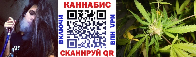 МАРИХУАНА планчик  Майкоп 